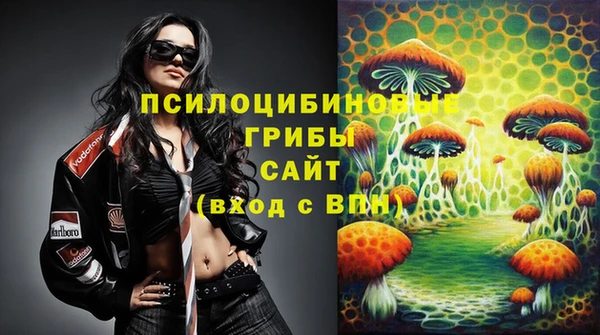 дурь Алзамай