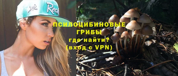 марихуана Абаза