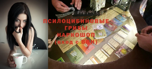 СК Абдулино