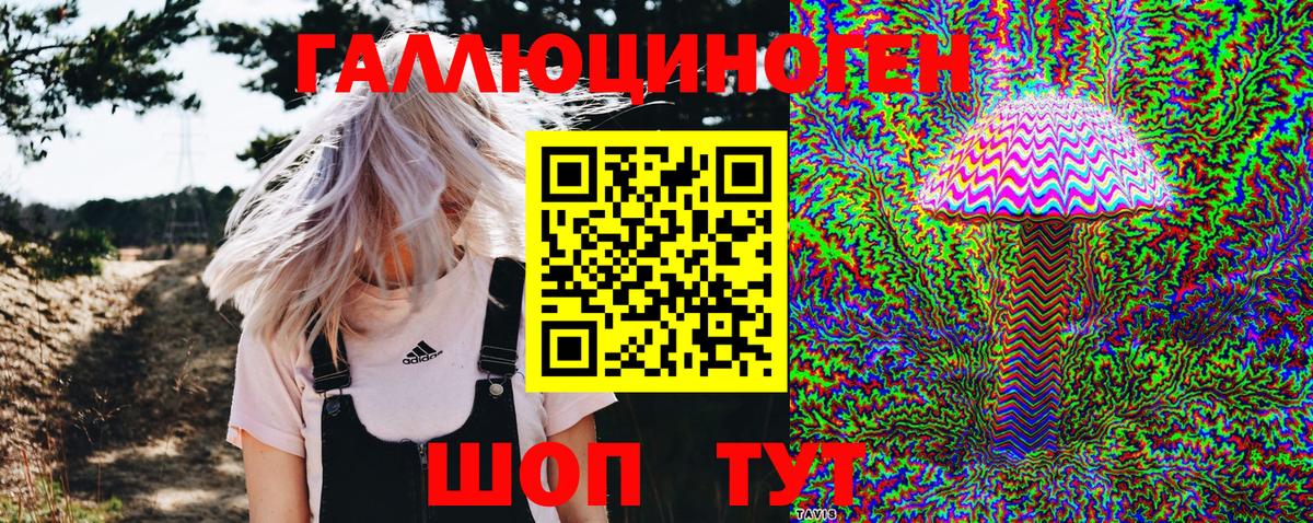 Псилоцибиновые грибы Psilocybine cubensis Сочи