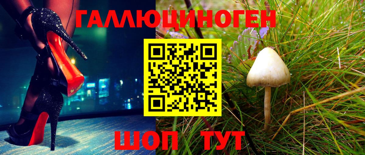Сочи  Псилоцибиновые грибы Psilocybine cubensis  Вход с VPN 