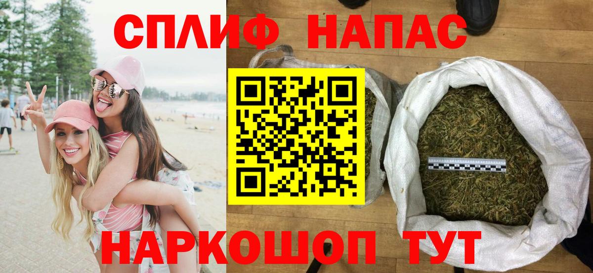 Конопля индика Сочи